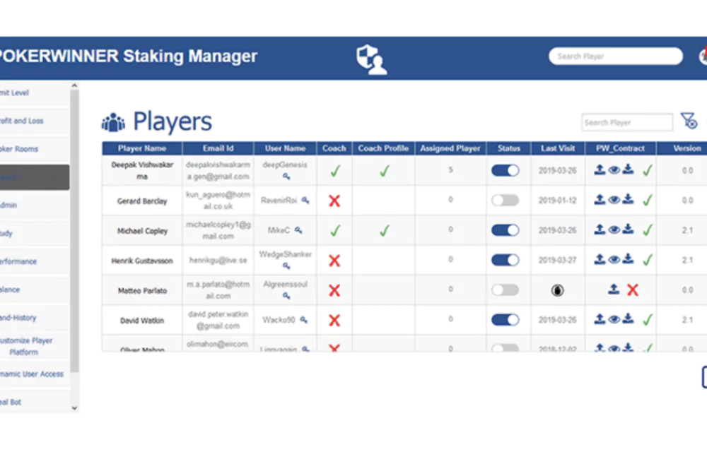 Interface of player profile page containing relevant details